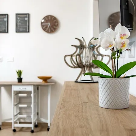 Casa Miramar E Casa Solemar Appartamento Santa Teresa di Gallura